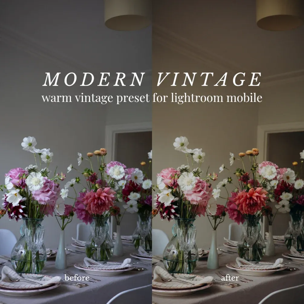 Modern Vintage Preset (Lightroom Mobile)