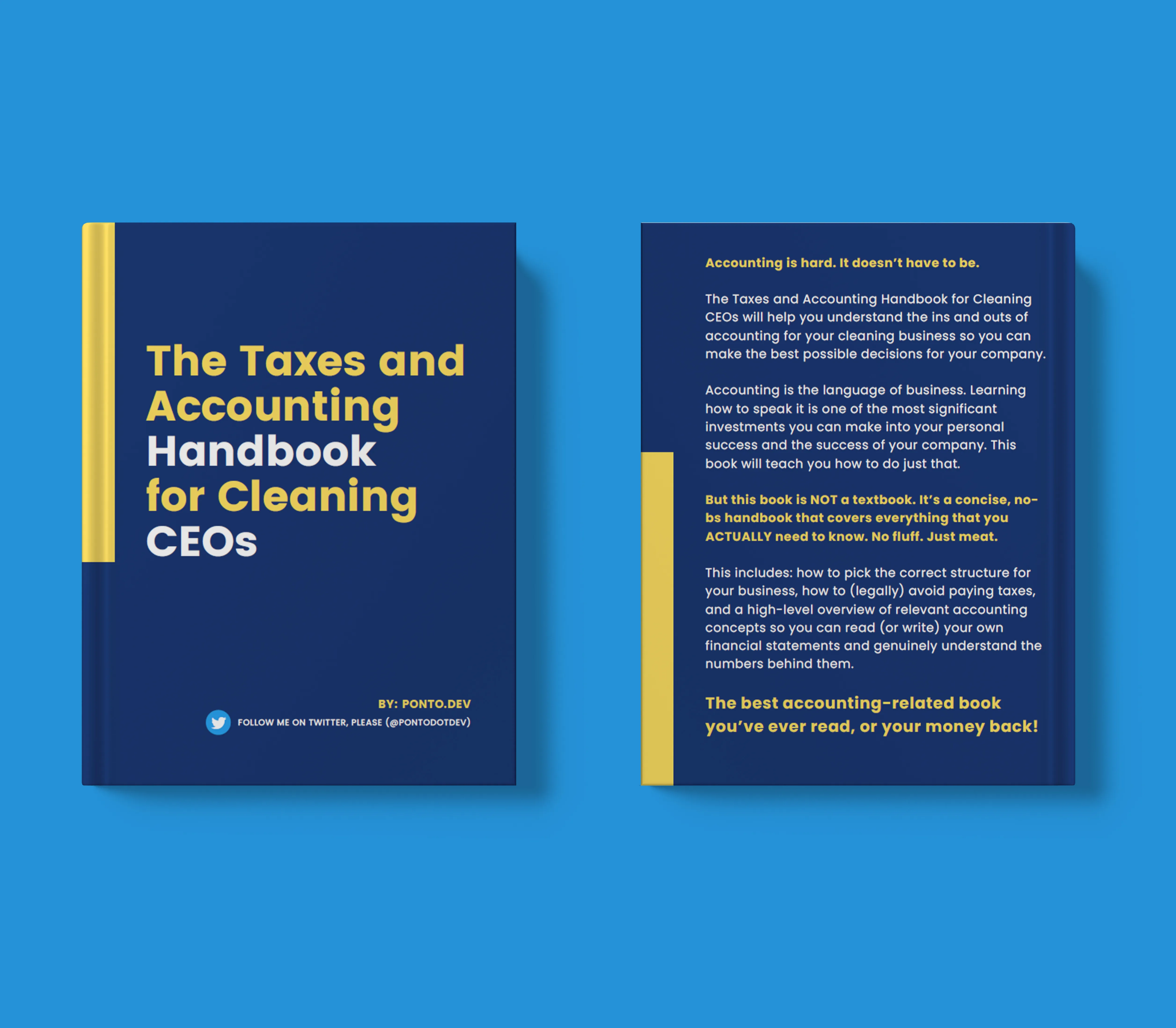 Accounting and Taxes Crash Course for Remote Cleaning CEOs