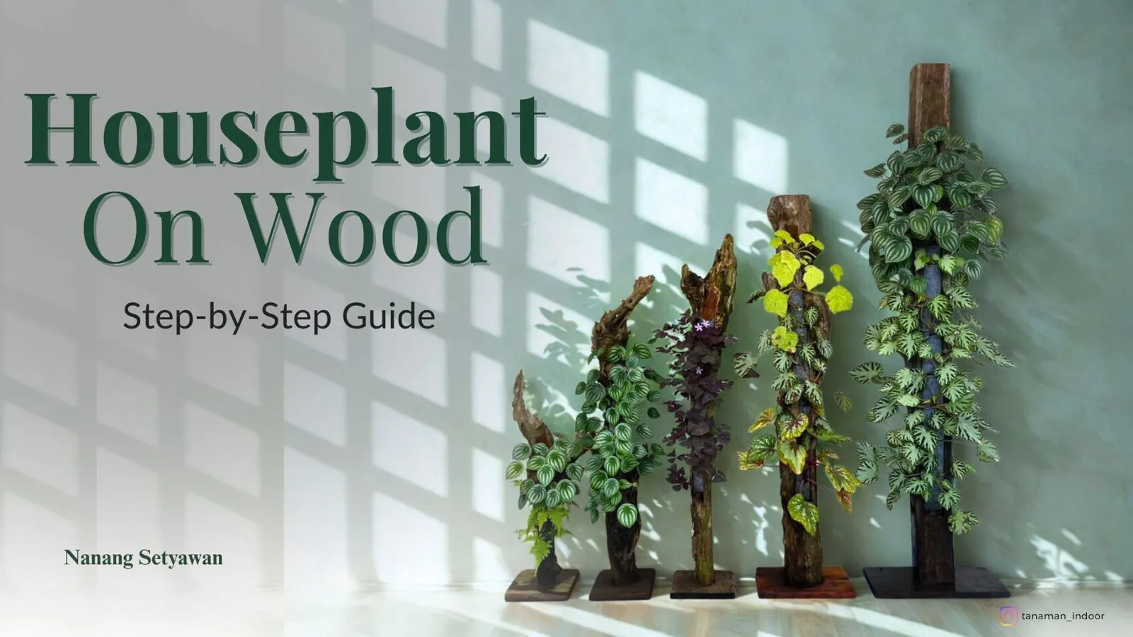 HOUSEPLANT ON WOOD: Step by step guide